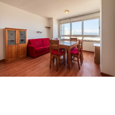 Imagen 2 producto 2086