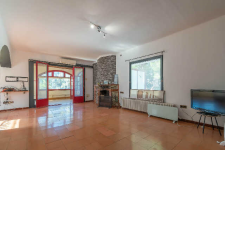 Imagen 3 producto 500635