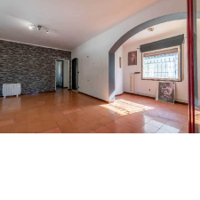 Imagen 9 producto 500635