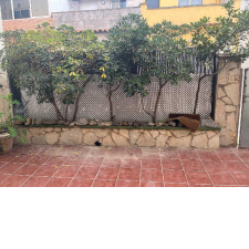 Imagen 5 producto 500663