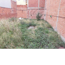 Imagen 3 producto 500636